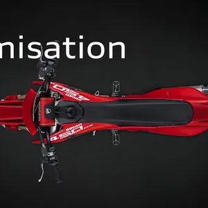 Ducati Desmo450 EDS : une enduro homologuée route qui pourrait viser le Dakar gallery 4