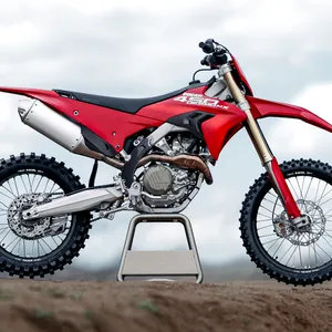 Ducati Desmo450 EDS : une enduro homologuée route qui pourrait viser le Dakar gallery 9