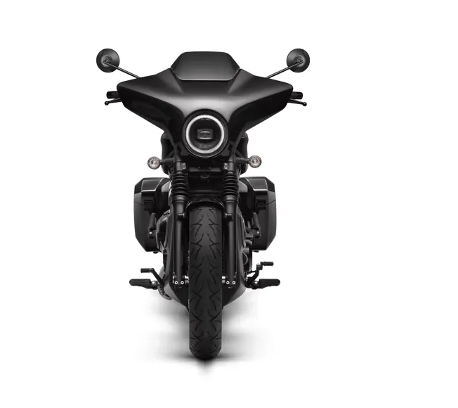CALIBRO 700 BAGGER - Image 3