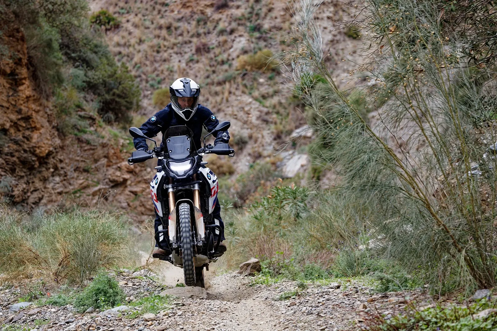 BMW F 900 GS - Image 3