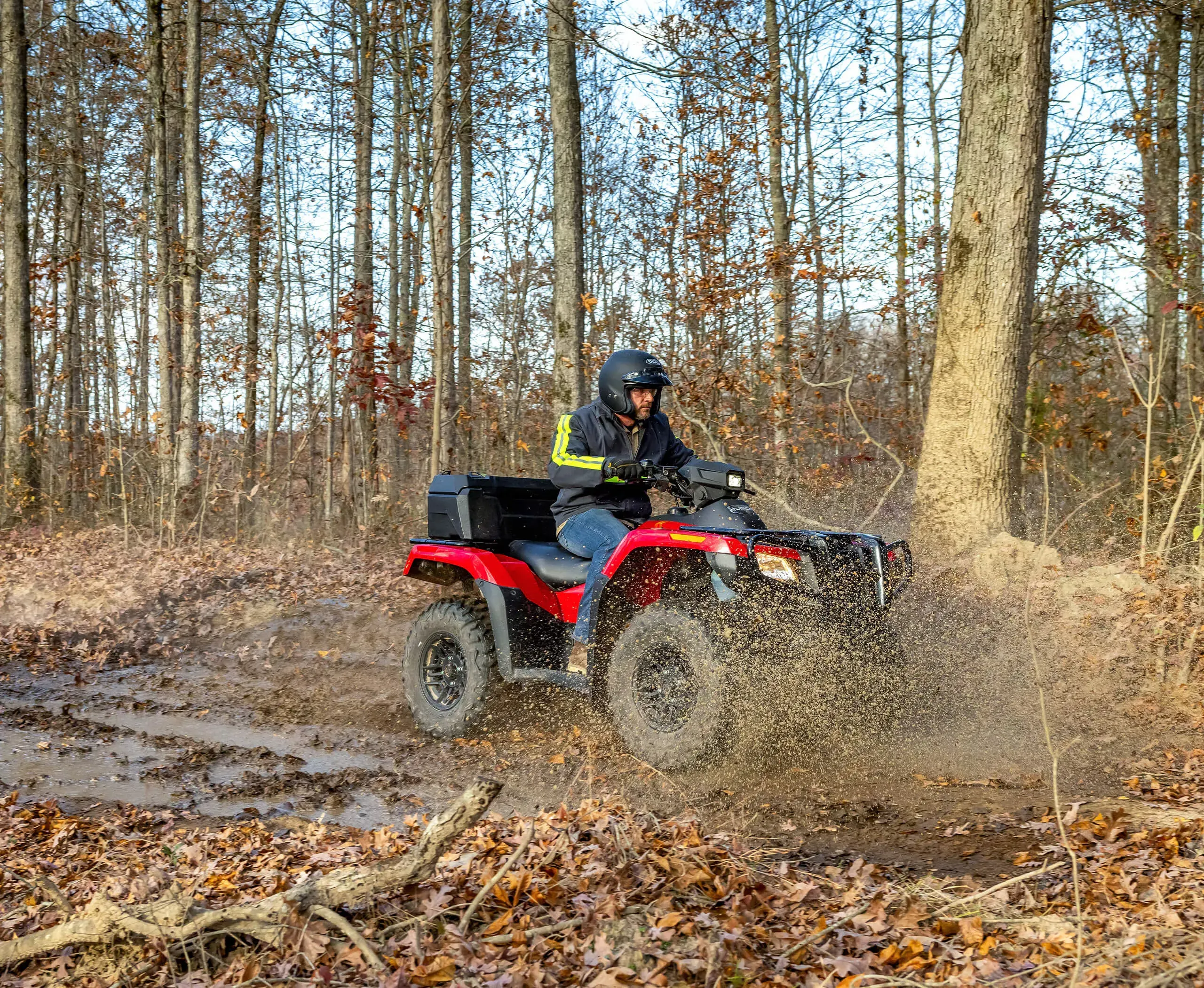 Honda FourTrax Rubicon 4x4 - Image 4