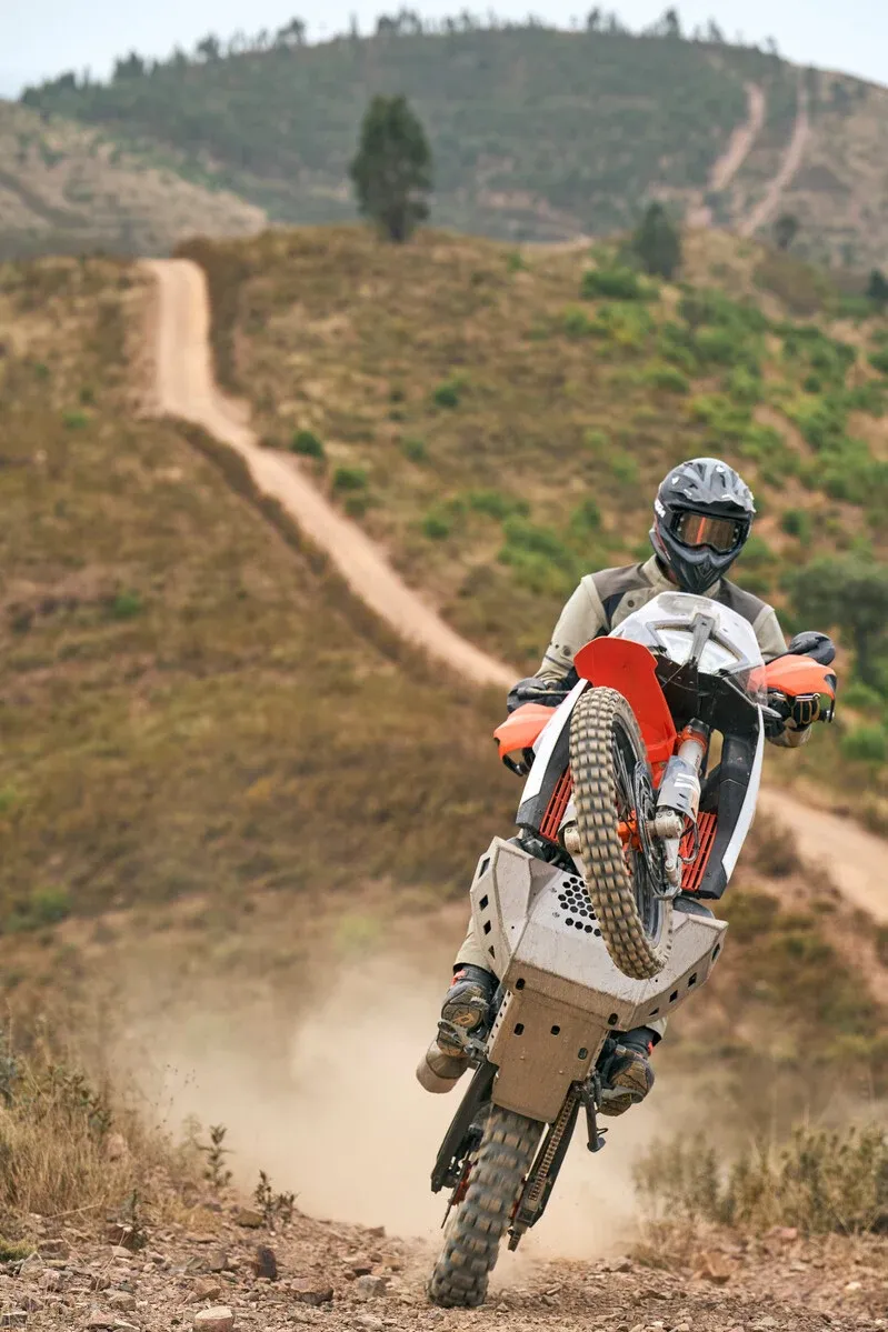 KTM 890 Adventure R - Image 3