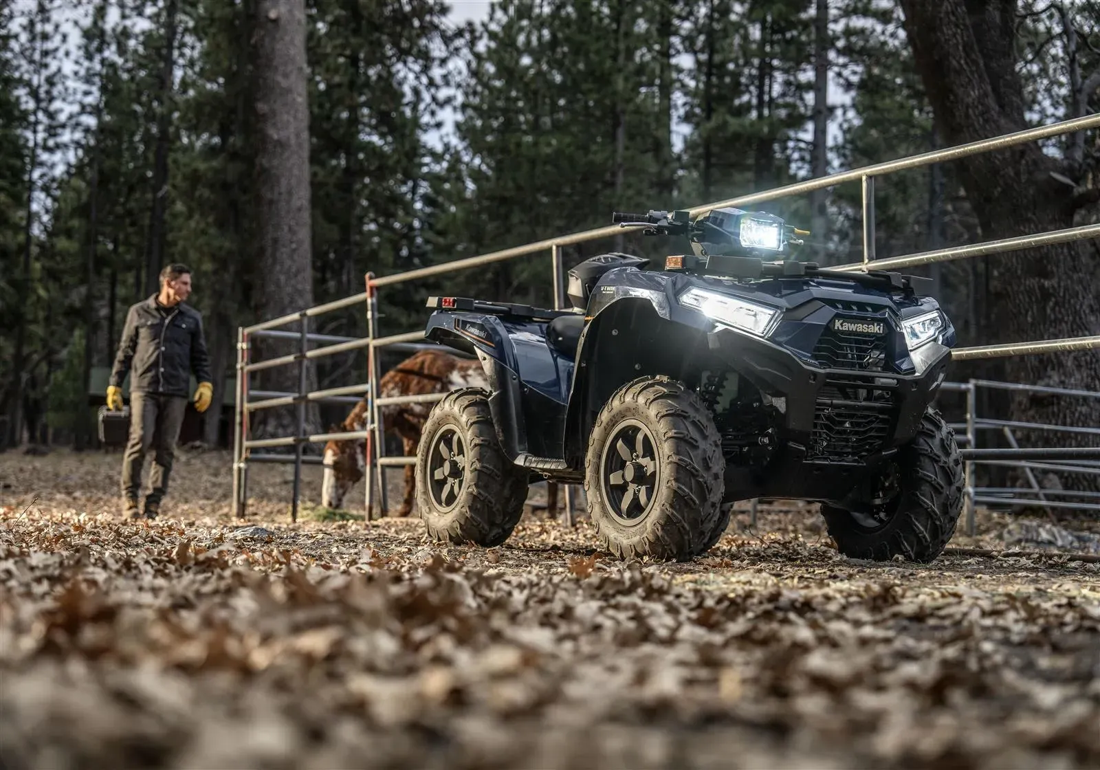 Kawasaki Brute Force 750 - Image 2