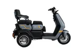 Novago TRICITY 1