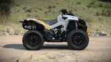 Can-Am Renegade X XC 1000R 5