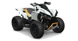 Can-Am Renegade X XC 1000R 1