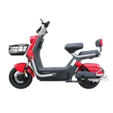 Ecoride Alpha 1000W 2