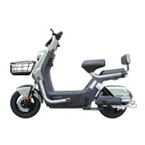 Ecoride Alpha 1000W 3
