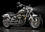 Harley-Davidson Fat Boy Gray Ghost 5