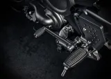 Harley-Davidson Pan America 1250 ST 6