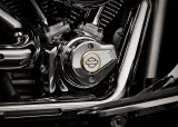 Harley-Davidson Fat Boy Gray Ghost 6