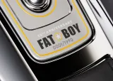 Harley-Davidson Fat Boy Gray Ghost 3