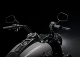 Harley-Davidson Freewheeler 5