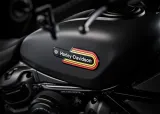 Harley-Davidson Nightster Special 2