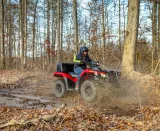 Honda FourTrax Rubicon 4x4 4