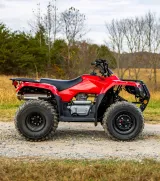 Honda TRX250TM 6