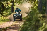 Kawasaki Brute Force 450 5