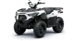 Kawasaki Brute Force 450 1
