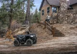 Kawasaki Brute Force 750 6