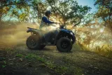 Kawasaki Brute Force 450 3
