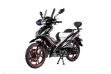 Sanya X1000 125cc 4