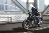 Suzuki SV650 5