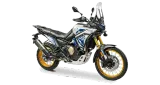 Voge DS800X Rally 1