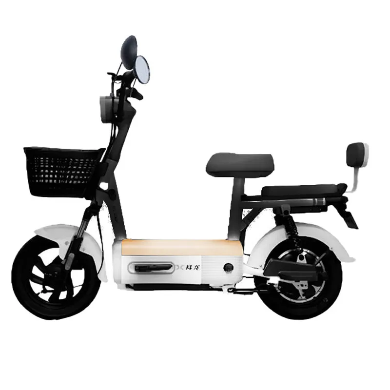 Ecoride Zen 600W 3