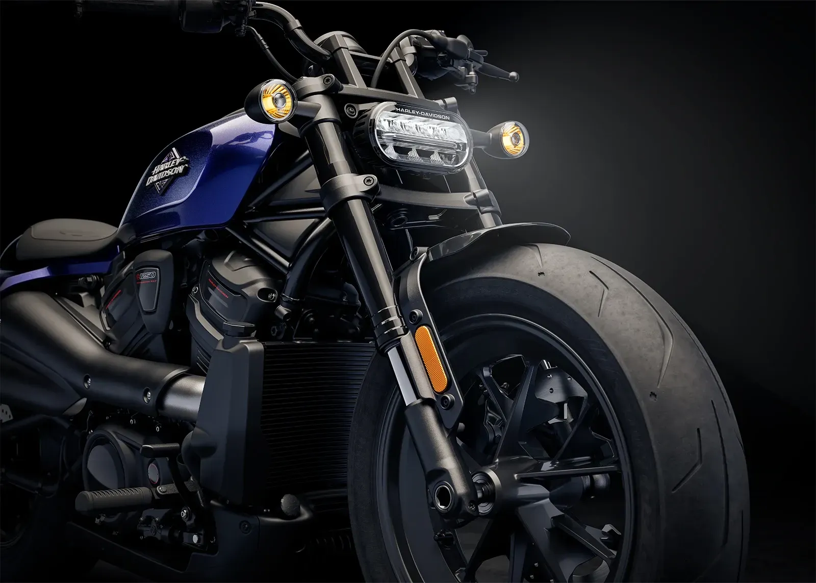 Harley-Davidson Sportster S 5