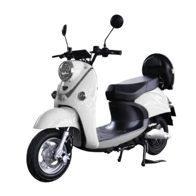 E-Rider E-Rider E-ECO 1000W