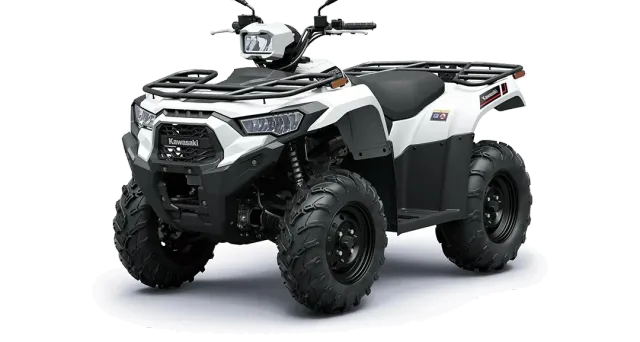 Kawasaki Brute Force 450